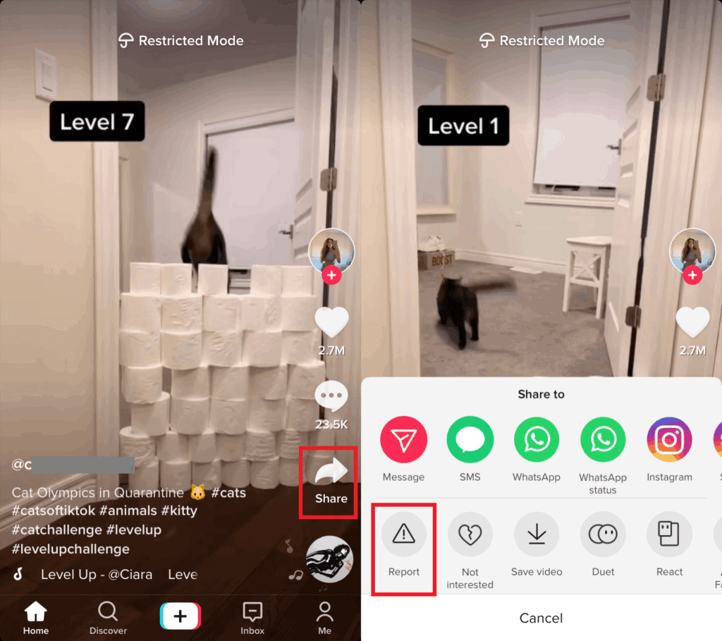 How to report a video for TikTok safety.